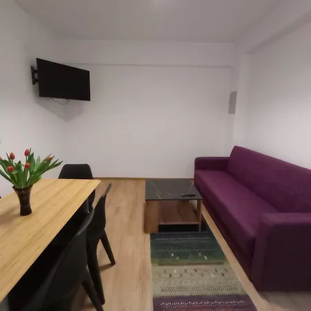 Central Kronstadt Apartments-2